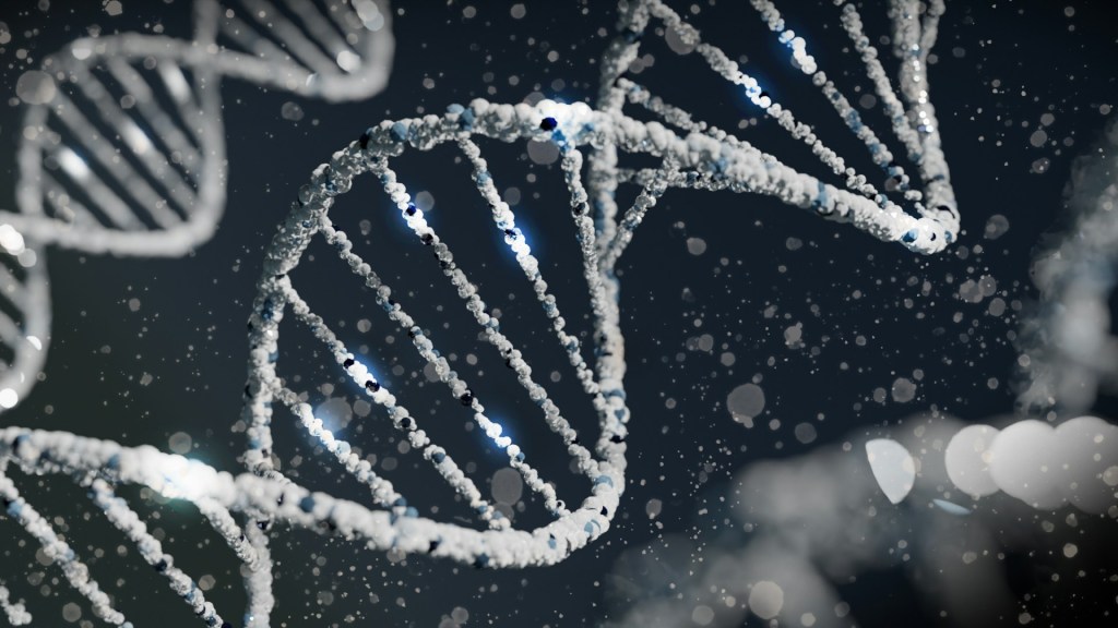 Descubren una tercera vía de herencia genética más allá del ADN y ARN: los amiloides 2 Descubren una tercera vía de herencia genética más allá del ADN y ARN: los amiloides