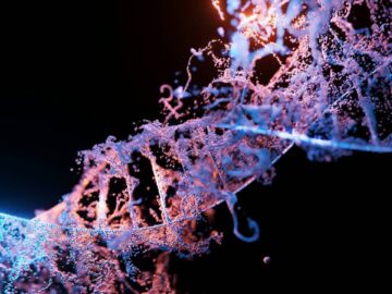 Descubren una tercera vía de herencia genética más allá del ADN y ARN: los amiloides