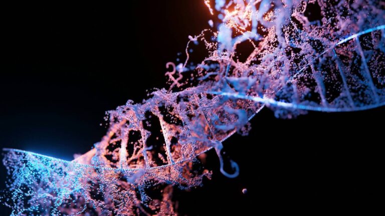 Descubren una tercera vía de herencia genética más allá del ADN y ARN: los amiloides