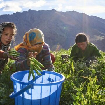 Día de la Tierra 2024: 7 acciones (cotidianas) a favor del planeta