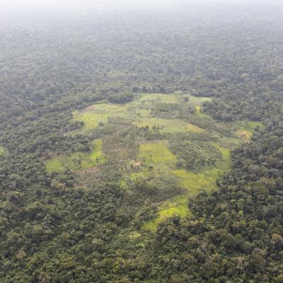 Así fue el origen de la celebración del Día de la Tierra