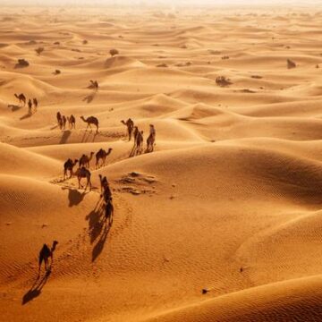 El vasto desierto que fue un paraíso verde y exuberante en el pasado, según un estudio científico
