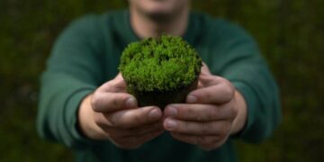 Desarrollan un bio-hormigón que transforma las ciudades en pulmones verdes