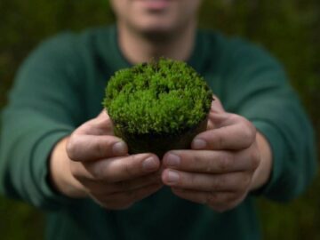 Desarrollan un bio-hormigón que transforma las ciudades en pulmones verdes