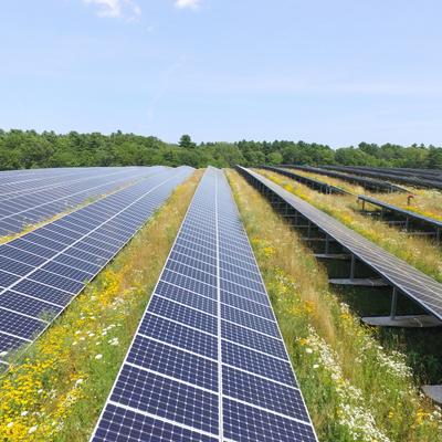 Día de la Tierra 2025: 4 datos clave sobre el avance de las energías renovables en el mundo