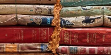 ¿La librería más linda del mundo? Descubre dónde queda esta librería que es viral en redes sociales