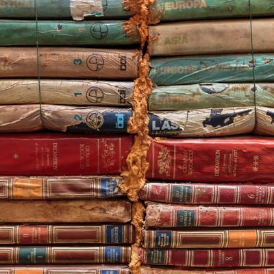 ¿La librería más linda del mundo? Descubre dónde queda esta librería que es viral en redes sociales