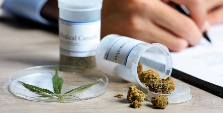 Estudio revela que el cannabis ayuda al orgasmo femenino 2 Estudio revela que el cannabis ayuda al orgasmo femenino