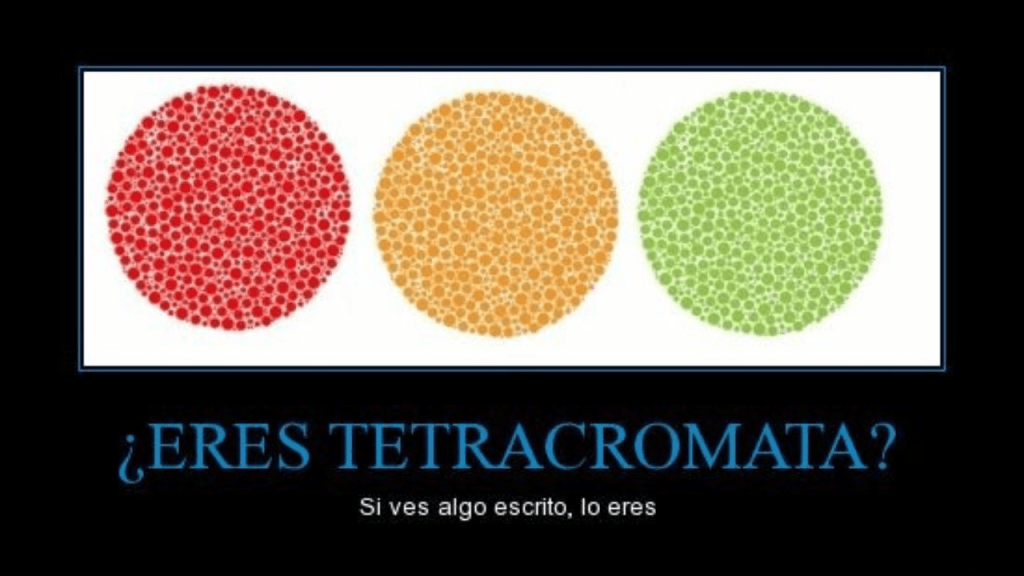Científicos afirman haber descubierto un "nuevo color" que nadie ha visto antes. 3 nuevo,color - nuevo