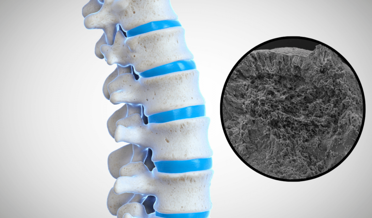 Científicos logran cultivar una columna vertebral humana en el laboratorio