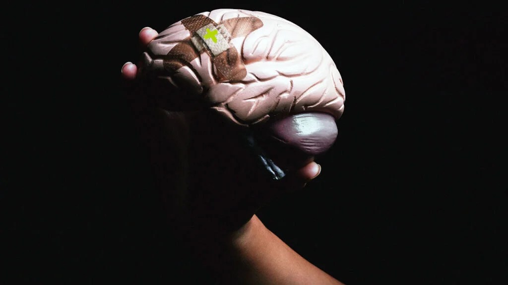 Descubren el primer fármaco para la rehabilitación de accidentes cerebrovasculares 2 Descubren el primer fármaco para la rehabilitación de accidentes cerebrovasculares