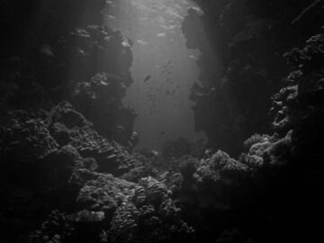 El oxígeno oscuro descubierto a 4.000 metros bajo el mar