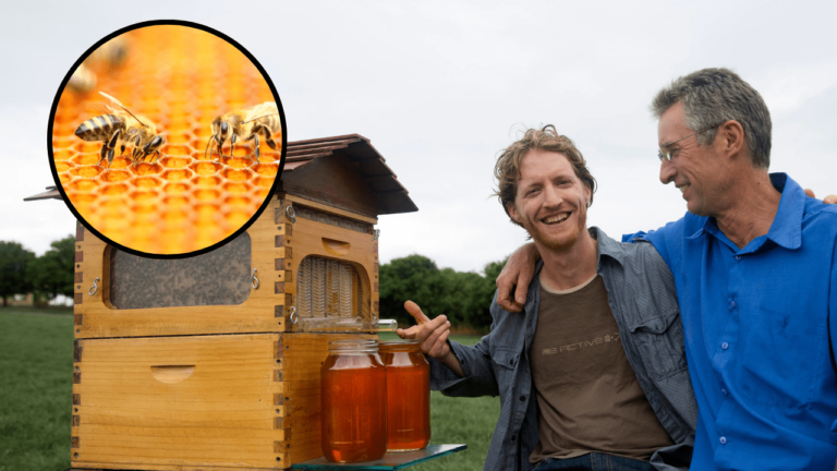 Flow Hive, la innovación australiana para extraer miel sin perturbar la colmena