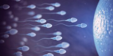 Una píldora anticonceptiva masculina sin hormonas entra en ensayos clínicos por primera vez