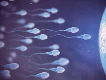 Una píldora anticonceptiva masculina sin hormonas entra en ensayos clínicos por primera vez