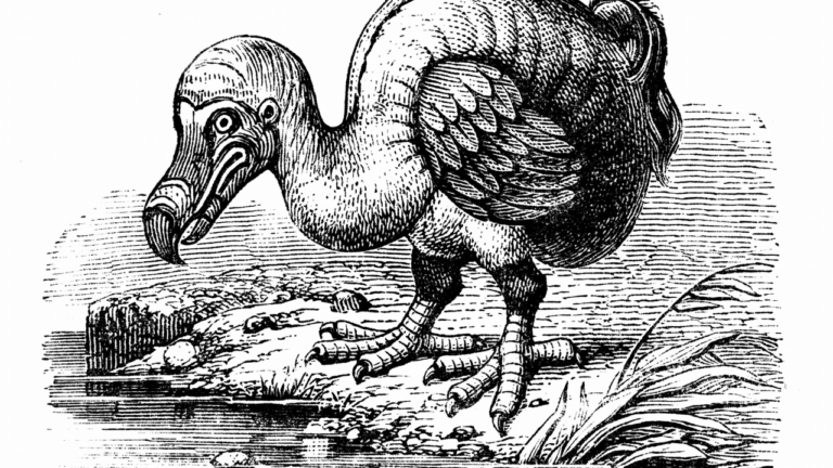 dodos, mamuts y tilacinos podrían volver a caminar la Tierra