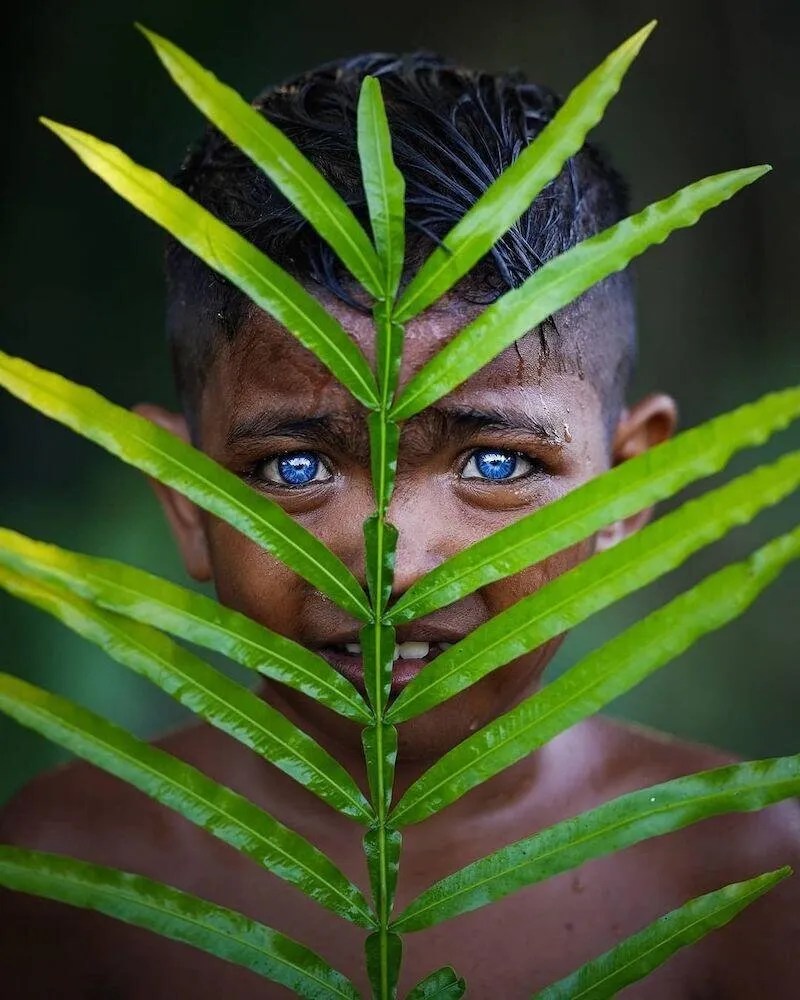 Kaimbulawa, la tribu de ojos azules: el enigma genético del corazón de Indonesia 1 tribu,ojos,azules - tribu