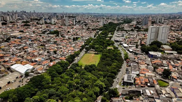 El bosque que nació de la terquedad: cómo un hombre transformó São Paulo con 40.000 árboles