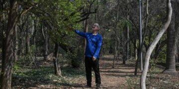 cómo un hombre transformó São Paulo con 40.000 árboles