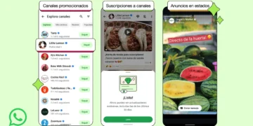 Publicidad En Whatsapp - WhatsApp