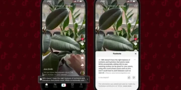 Tiktok Footnotes - footnotes