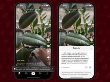 Tiktok Footnotes - footnotes